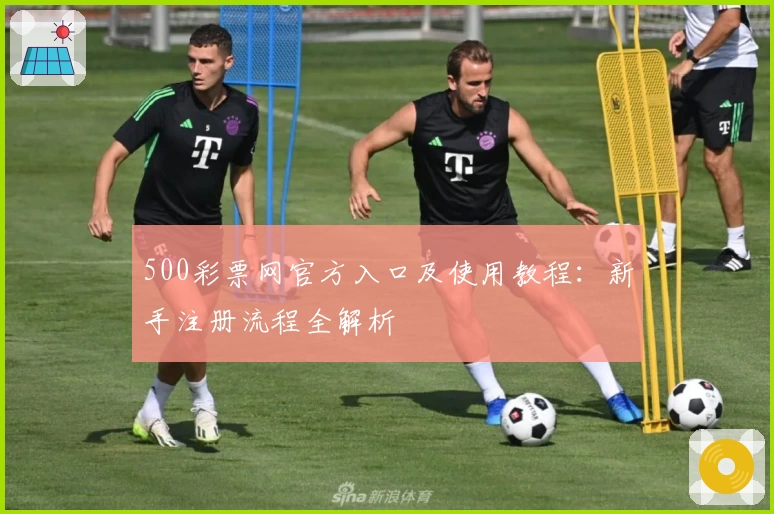 500彩票网官方入口及使用教程：新手注册流程全解析